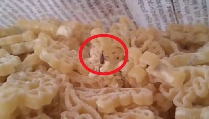 Макарони, в които мърдат цял куп неидентифицирани буболечки