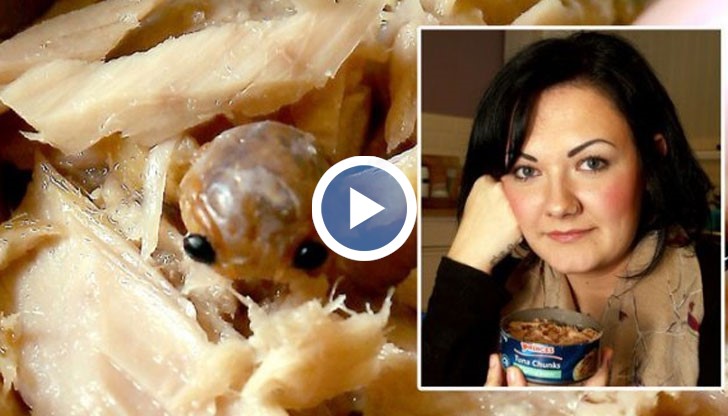 Жената отворила кутията, когато срещу нея се облещило непознато същество с две големи черни очи