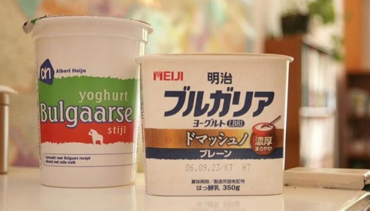 Вляво се вижда ХОЛАНДСКО кисело мляко, което претендира да е по оригинална българска рецепта...