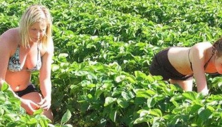 Работничките ще получават чисто, след удръжките, по 38,08 евро не ден