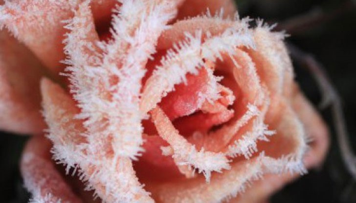 На 10 февруари се почита св. мъченица Валентина и св. Харалампи На 10 февруари се почита св. мъченица Валентина и св. Харалампи