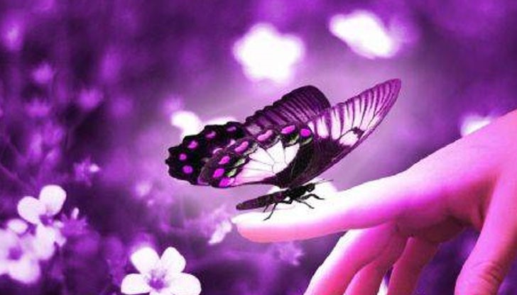 <p>Тази притча ще ви накара да се замислите над властта, която имате в ръцете си и над живота си.<br />
Някога отдавна живеел в древен град Майстор, заобиколен от своите ученици. Най-способният от тях се замислил веднъж:<br />
-А има ли въпрос, на който нашият Майстор няма да може да отговори.<br />
Той отишъл на зелената ливада, хванал най-красивата пеперуда и я скрил в дланите си. Пеперудата шавала с пипалцата си и гъделичкала дланите на ученика.<br />
Усмихвайки се, той отишъл при Майстора и го попитал:<br />
-Кажете, каква пеперуда имам между дланите си-жива или мъртва? Той здраво държал пеперудата и бил готов във всеки един миг да я смачка заради своята истина. Не обръщайки дори глава, за да погледне ученика, Учителят отговорил:<br />
-Всичко е в твоите ръце.</p>
