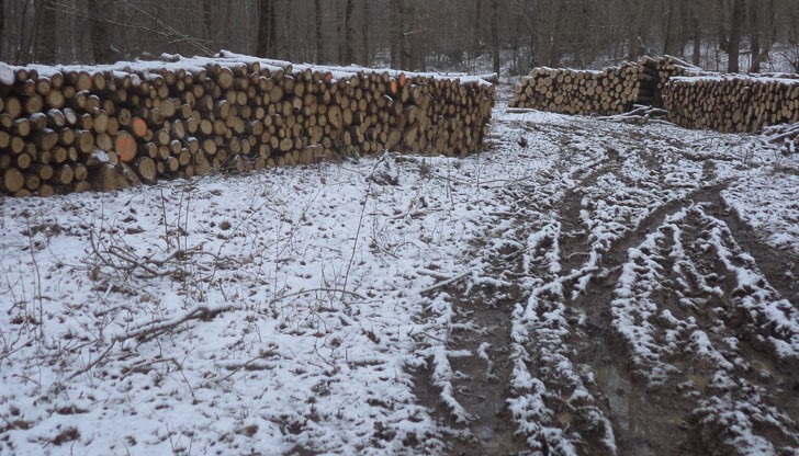 Целият ляв склон е оголен