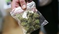 България обмисля легализиране на марихуаната за медицински цели