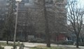 Изсъхнал и наклонен бор на улица "Борисова"