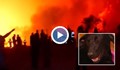 Куче изрови 1,5 м дупка, за да спаси малките си от пожар
