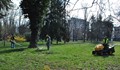Кампания за поддържане на зелените площи в Русе