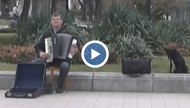 Обжалват като незаконосъобразна таксата за уличните музиканти в Русе
