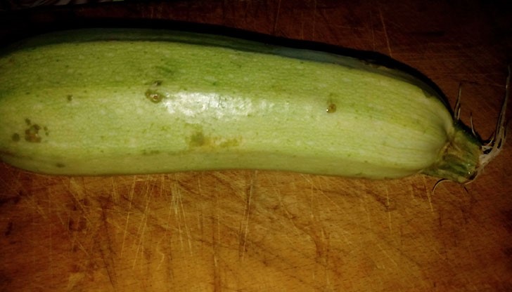 Тиквичка с корени