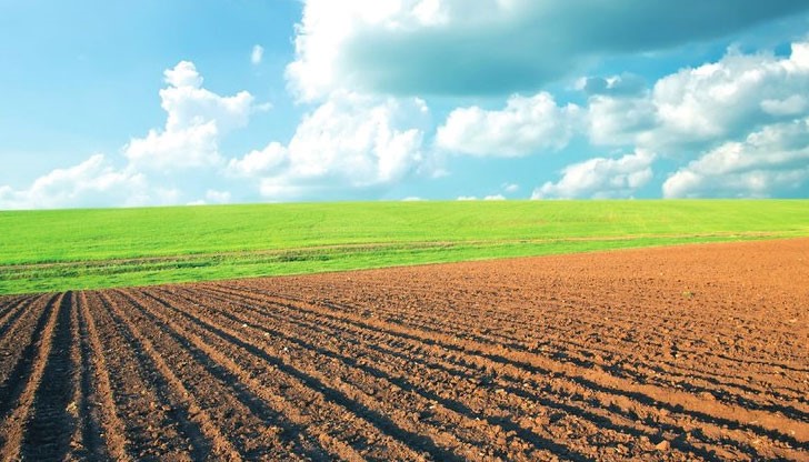 Президентът не наложи вето върху закона и издаде указ за обнародване седмица след приемането му от народното събрание (ДВ, бр. 14 от 20.2.2015) Президентът не наложи вето върху закона и издаде указ за обнародване седмица след приемането му от народното събрание (ДВ, бр. 14 от 20.2.2015)