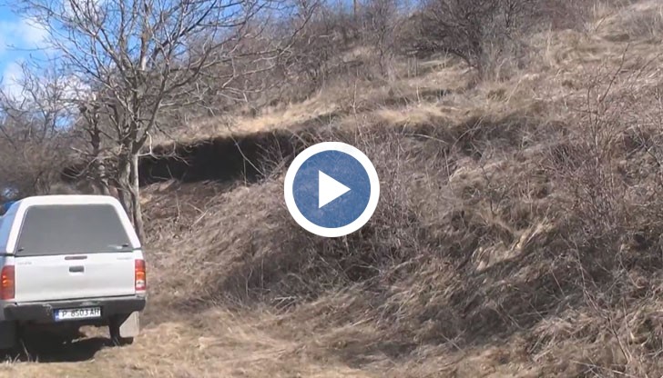 Гората е собственост на църквата, но оттам нямат средства нито да я охраняват