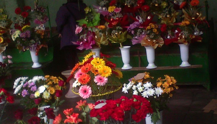 НАП започва проверки на търговците на едро с цветя в цялата страна