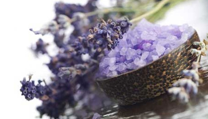 Омръзна ли ви да давате излишни средства в търсене на най-добрия препарат за изгонване на хлебарките от дома