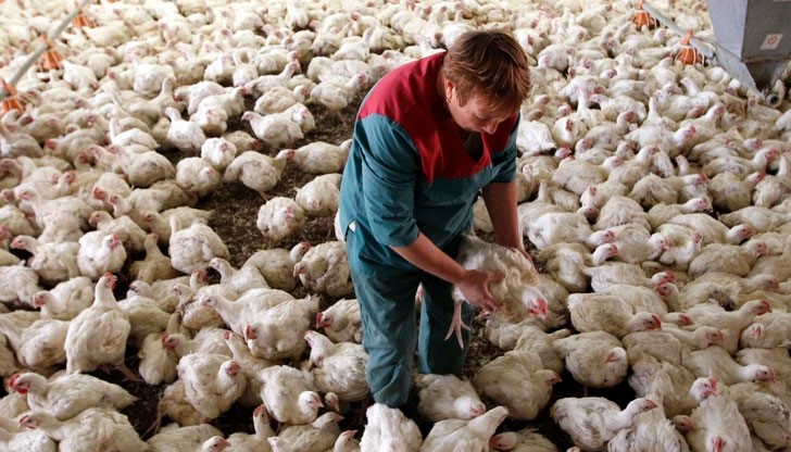 Въпреки че работата е солидно платена,  никой не иска да се яви по обявата