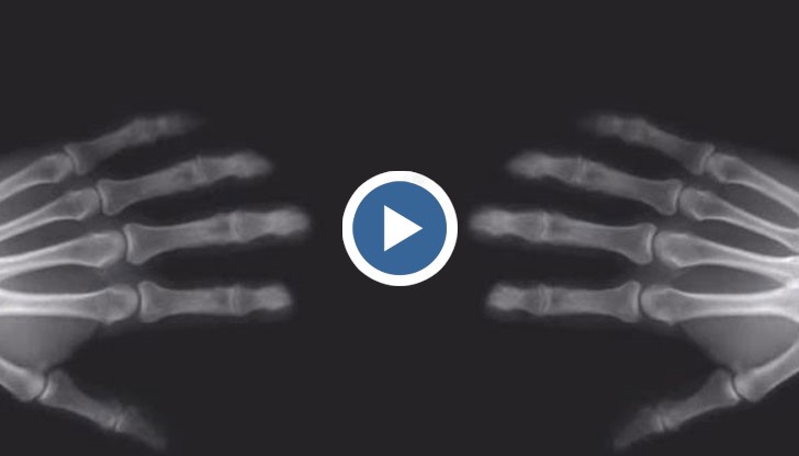 Vox обяснява всичко в приложеното видео