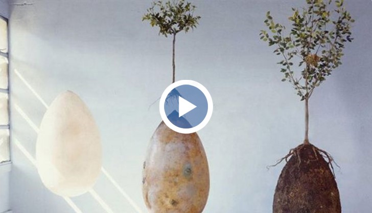 Италиански дизайнери предлагат нова алтернатива за вечен покой