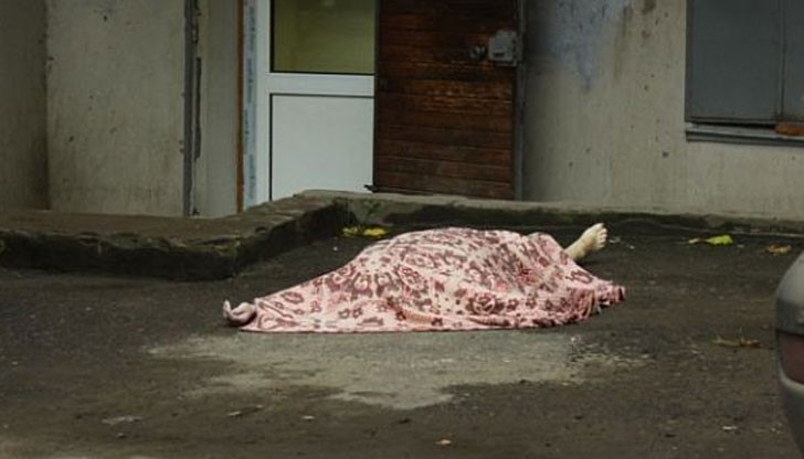 Работи се по уточняване самоличността на жената и детето й, както и причините за инцидента Работи се по уточняване самоличността на жената и детето й, както и причините за инцидента