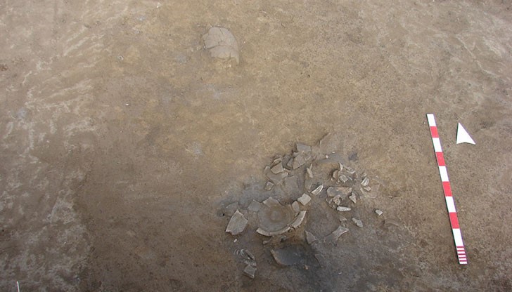 Снимки от разкопките в с. Брестовица, 2014 г.