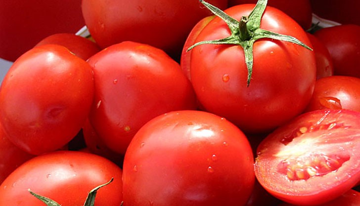 Загуби за хиляди левове и закъсняла продукция на пазара, прогнозират производители на ранни домати