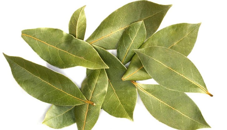 За целта може да използвате билката както в сушено, така и в прясно състояние