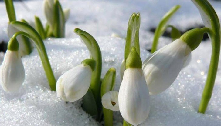 Пролетта ще бъде с валежи около нормалните Пролетта ще бъде с валежи около нормалните