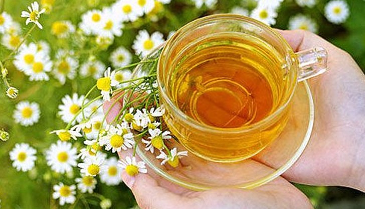 Рецепта с пелин, която ще ви помогне да излекувате стомашните киселини завинаги