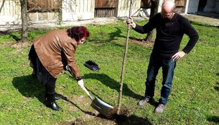 Инициативата е на Териториалното Статистическо бюро. Тя е свързана със 135 години от създаване на Българската официална статистика