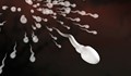 7 удивителни факта за спермата
