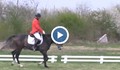 Държавното първенство по всестранна езда на русенския хиподрум