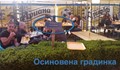 Да си осиновиш градинка и тя да стане кебапчийница ...