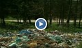 Сметище е унищожило борова гора край Русе
