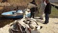 Намериха още мъртви пеликани  в резервата „Сребърна”