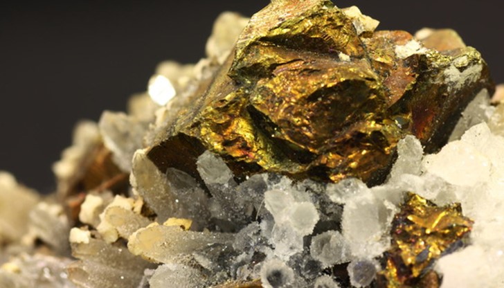 От години националните богатства на България се разграбват най-безсрамно от чуждестранни фирми-концесионери От години националните богатства на България се разграбват най-безсрамно от чуждестранни фирми-концесионери