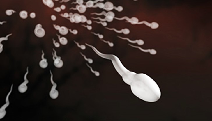 Ето някои неща за спермата, които може би не сте знаели