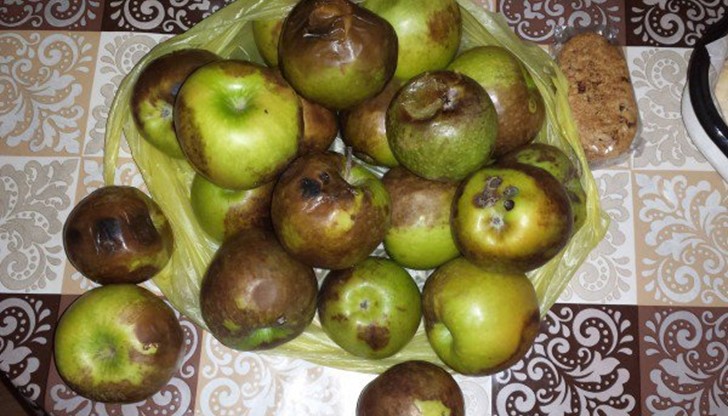 Анна Симова: За случая са виновни и Българският съюз на слепите, подобна гавра не се случва за първи път Анна Симова: За случая са виновни и Българският съюз на слепите, подобна гавра не се случва за първи път