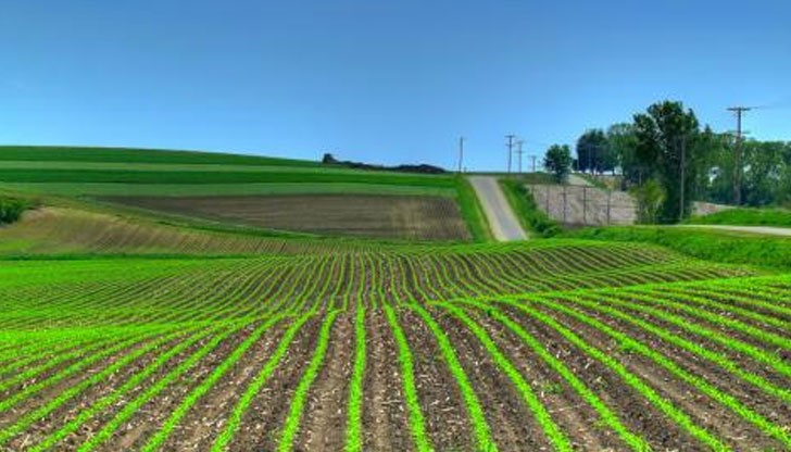 Земеделската земя в област Русе поскъпна с 15.1%