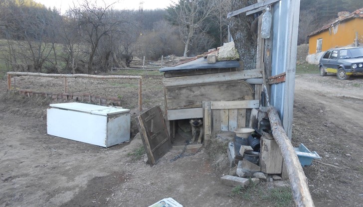 Георги Чакъров е пригодил кочина за прасета в дом, тъй като загубил къщата си