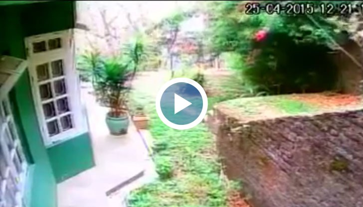 Охранителни камери от частен дом са запечатали момента и бяха разпространени в социалните мрежи