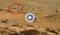 Марсоходът изпрати снимка на неизвестно за науката същество от Марс