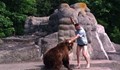 Пиян идиот удари мечка с юмрук в зоопарк и избяга