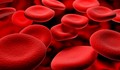 Знаете ли как да пречистим кръвта си?