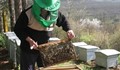 Пчеларите организират национален протест