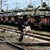 Тежка бойна техника започна да трупа руската армия по границата си с Украйна! Тежка бойна техника започна да трупа руската армия по границата си с Украйна!