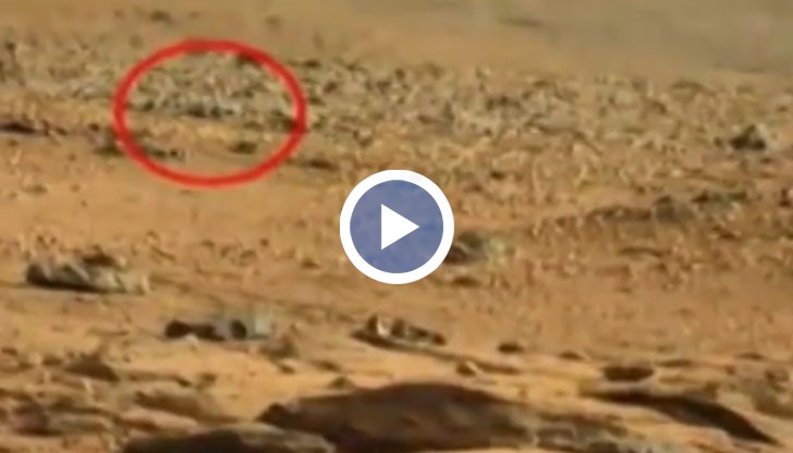 Откритието е направено благодарение на приетата практика на НАСА да публикува всички получени от марсохода фотоси