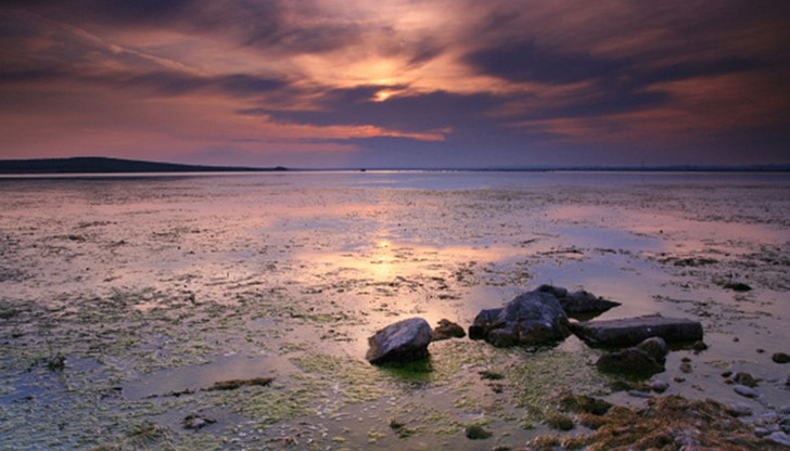 Инициативата се организира по повод Международния ден на биологичното разнообразие – 22 май