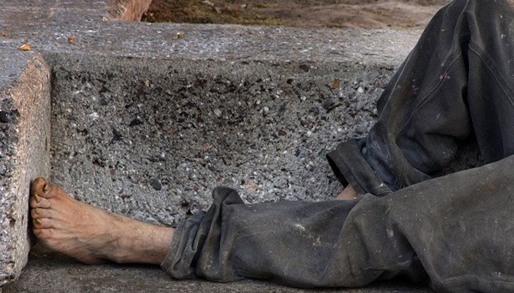 Тук плъхове няма – те не издържат Тук плъхове няма – те не издържат