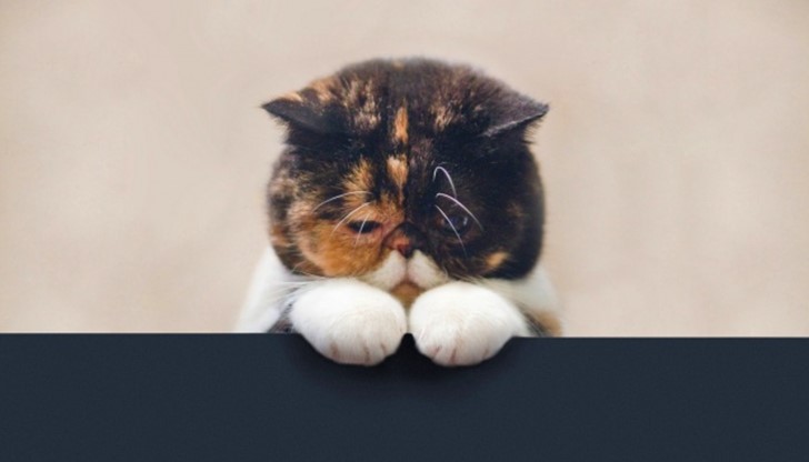 Стана случайно, заклевам се...