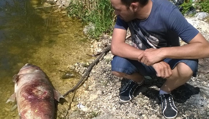 Вижте каква риба видях вчера на брега на езерото в село Николово