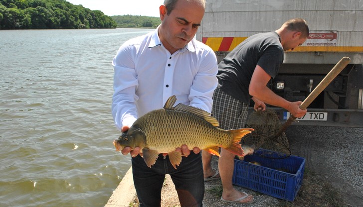 Първата риба, която кметът Пламен Стоилов пусна в езерото, беше щука