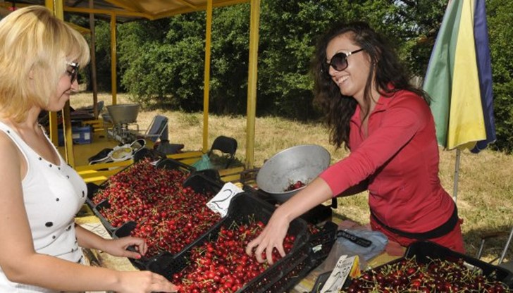 Има огромен интерес от румънци да изкупуват българската продукция